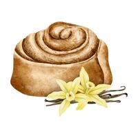 Spiraled Cinnamon Roll, vanilla flowers and pods. Watercolor isolated hand drawn illustration. Sweet puff pastry bun for label, packaging, card, for bakehouse, bakeshop, food bloggers vector