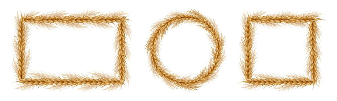 Ears of wheat. Set of Watercolor frames of Cereal ears. Wreath of barley malt. Templates for bakeries,brewery, bakehouses confectioner design of labels and packaging of goods, cards, shops