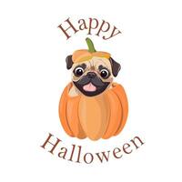 Happy Halloween card pug in pumpkin vector