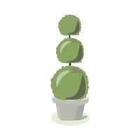 topiary art of forming bush in the shape of a sphere using haircut vector