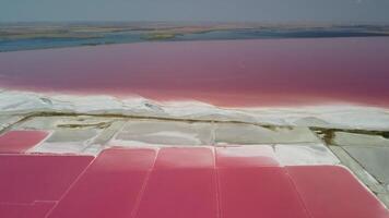 Bright pink red lagoons of salt lake. Picturesque drone point of view of the colorful exotic pink salt lagoon on a sunny summer day. Dunaliella salina. Aerial panoramic wide shot video