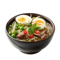 noodle soup with beef, egg, green onion, and vegetables on transparent background. png