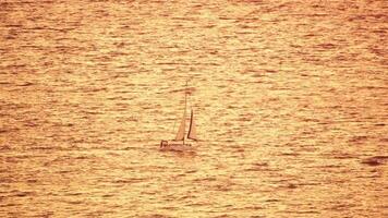 Yacht på lugna solnedgång hav. lyx kryssning resa. sida se av vit båt på djup blå vatten. antenn se av rik Yacht segling hav. sommar resa på lyx fartyg. långsam rörelse video