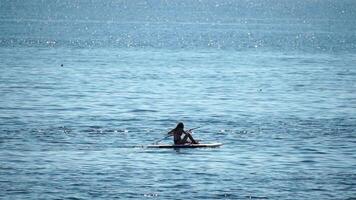 hav kvinna supera. silhuett av Lycklig positiv ung kvinna i bikini, surfing på supera styrelse, självsäker paddling genom vatten yta. idyllisk solnedgång. aktiva livsstil på hav eller flod. långsam rörelse video