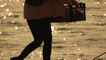 Garbage on beach - Young woman collects garbage on beach after storm, maintaining cleanliness and preserving environment. video