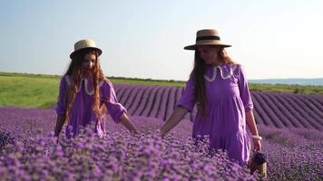 lavanda, campo, caminando - dos dama en Violeta vestido, atravesar púrpura flores, vasto abierto espacio, luz, naturaleza belleza. madre y hija mano a mano moverse en medio de púrpura flora, expansivo rural zona video