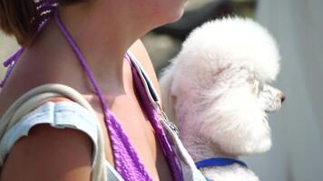 A woman carries a small white poodle while strolling along the coastal beach, enjoying a holiday summer recreation on sea concept. video