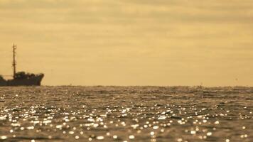 resumen mar Oceano puesta de sol naturaleza antecedentes con gaviotas y pescar barco barco de jabeguero capturas pescado mientras navegación en mar a horizonte en distancia vela a captura colegio de pescado en calma mar superficie en verano. video