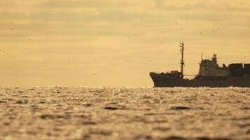 abstrakt Meer Ozean Sonnenuntergang Natur Hintergrund mit Möwen und Angeln Boot Trawler fängt Fisch während Segeln auf Meer beim Horizont im Entfernung segeln zu Fang Schule von Fisch auf Ruhe Meer Oberfläche im Sommer. video