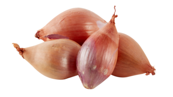 fresh red onions cut out isolated transparent background png