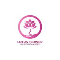 el loto flor logo diseño vector