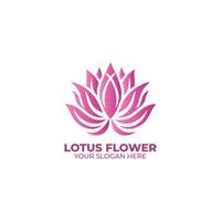 el loto flor logo diseño vector