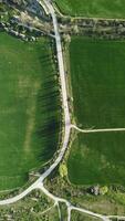 Aerial vertical view on road cutting through vibrant green wheat field in countryside. Field of wheat blowing in wind on sunset. Ears of barley crop in nature. Agronomy, industry and food production video