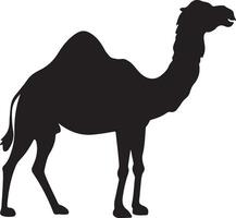 Flat design Camel silhouette,Camel graphic icon. Camel black sign isolated on white background. Camel symbol of desert. illustration vector