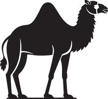 Flat design Camel silhouette,Camel graphic icon. Camel black sign isolated on white background. Camel symbol of desert. illustration vector