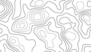 abstract pattern with lines. background of the topographic map. elevation contouring outline cartography texture. geographic abstract grid. futuristic wireframe landscape background. vector