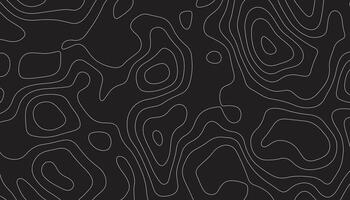 abstract pattern with lines. background of the topographic map. elevation contouring outline cartography texture. geographic abstract grid. futuristic wireframe lands. black and white seamless pattern vector