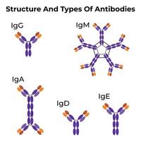 Antibody Science Design Illustration vector