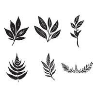 Tree leaves silhouette illustration. vector