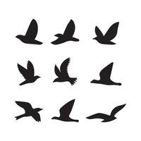 Bird Silhouette flat illustration. vector