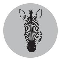 Zebra animal illustration, nature conservation black and white stripes illustration vector