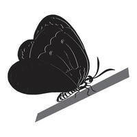 mariposas silueta negro antecedentes en blanco antecedentes vector