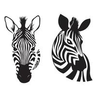 Zebra animal illustration, nature conservation black and white stripes illustration vector