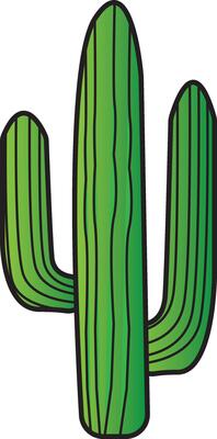 cactus in a glass plant illustration