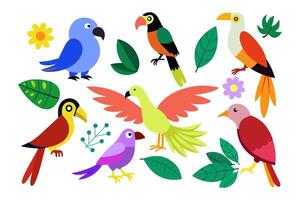 Exotic jungle birds set on white background vector