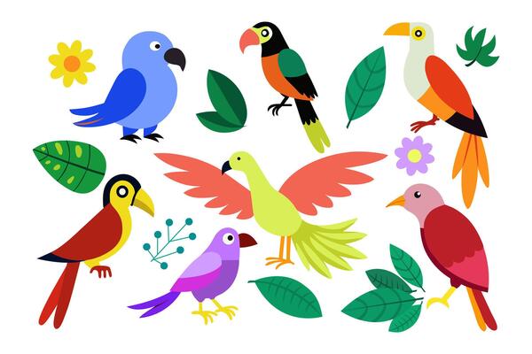 Exotic jungle birds set on white background