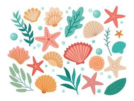 Set of colored sea shells, seaweeds, starfish vector
