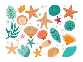 Set of colored sea shells, seaweeds and starfishes vector