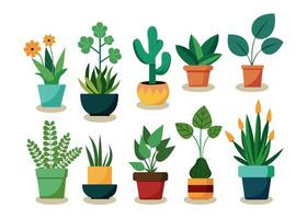 Home plants in flowerpot. Set of houseplants vector