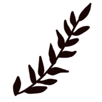 Leaves floral frames png