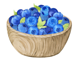 Ripe blueberries in a wooden bowl. Watercolor botanical illustration in rustic style. Composition of spring berries for farm products. Bilberries in a bottom plate on a transparent background. png