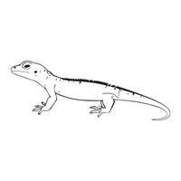 Lizard Silhouette Flat Illustration. vector