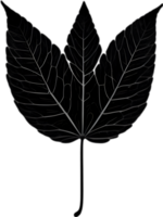 An image of a stylized leaf. AI-Generated. png