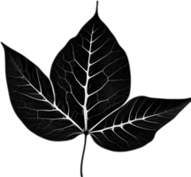 An image of a stylized leaf. AI-Generated. png