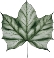 An image of a stylized leaf. AI-Generated. png