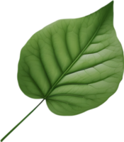 An image of a stylized leaf. AI-Generated. png