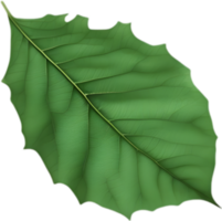 An image of a stylized leaf. AI-Generated. png