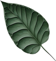 An image of a stylized leaf. AI-Generated. png