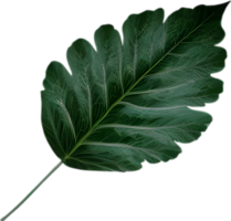 An image of a stylized leaf. AI-Generated. png