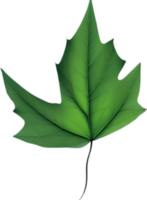 An image of a stylized leaf. AI-Generated. png