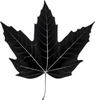 An image of a stylized leaf. AI-Generated. png