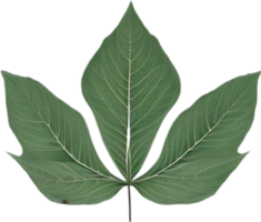 An image of a stylized leaf. AI-Generated. png