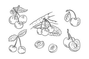 Summer fruits doodle set with cherries and branches with leaves. Monochrome sketchy drawings of groups of fruits on white background. Ideal for coloring pages, tattoo, pattern vector