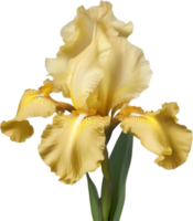 Close-up of a blooming iris flower. AI-Generated. png