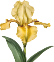 Close-up of a blooming iris flower. AI-Generated. png