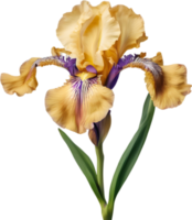Close-up of a blooming iris flower. AI-Generated. png
